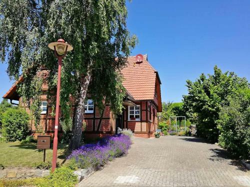 Apartamento Ferienwohnung Wesenberg See 9951