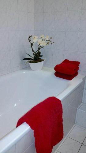 Apartamento Villa-kamp-im-friesenstil-app-nr-06
