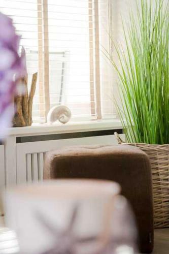 Apartamento Kaept30 29 Sunny Side