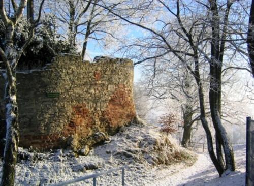 Apartamento Ferienwohnung Wildkatze Am Edersee