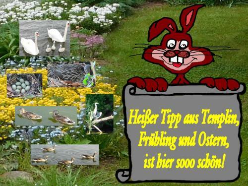 Ferienhaus_sun_schein In Templin