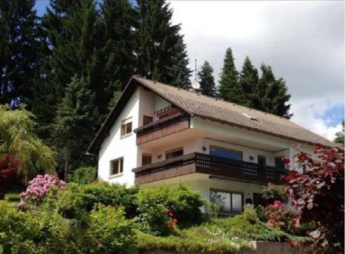 Apartamento Schwarzwald Renovated Design Green Studio