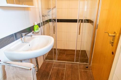 Apartamento Schwarzwald Renovated Design Green Studio