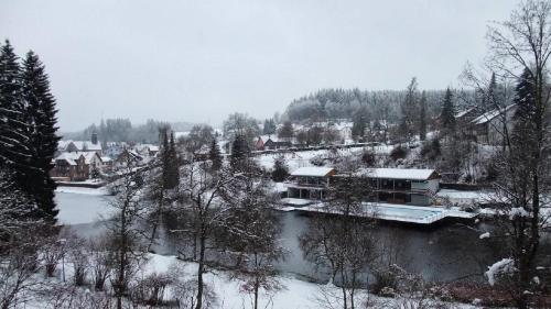 Apartamento Schwarzwald Renovated Design Green Studio