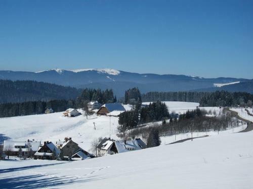 Apartamento Haus Jan�en-wehrle