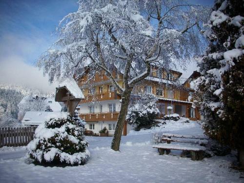 Apartamento B�hlhof Waldau