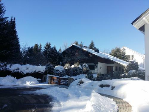 Apartamento Schwarzwald - Villa Appartments Titisee
