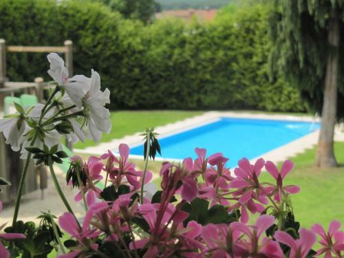 Apartamento Ferienanlage Harzfreunde