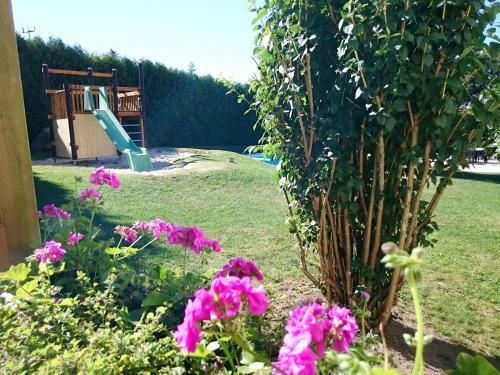 Apartamento Ferienanlage Harzfreunde