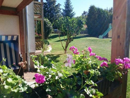 Apartamento Ferienanlage Harzfreunde