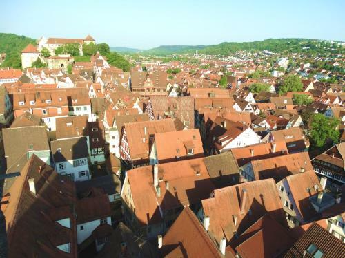 Apartamento Ferienwohnung Wiedmann