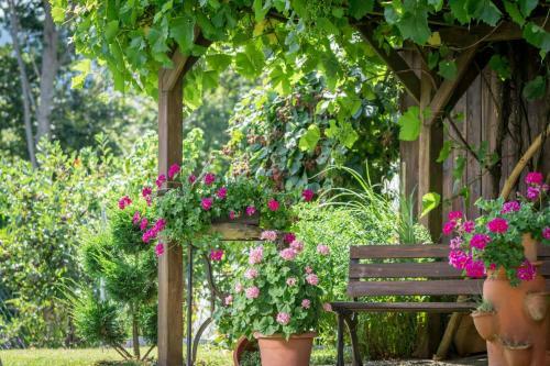 Hostal Pension Zum Ebenstein Am Donausteig