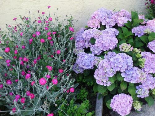 Apartamento Riedler Hof