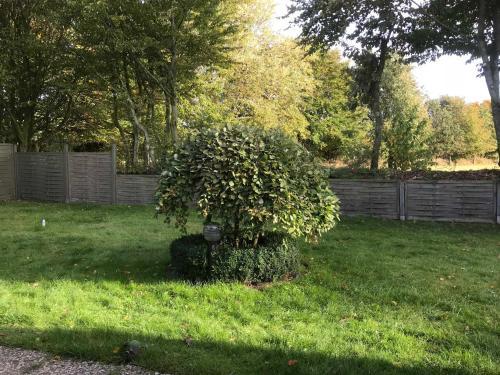 Apartamento Ahrens_ Jennifer _ Treene_hus