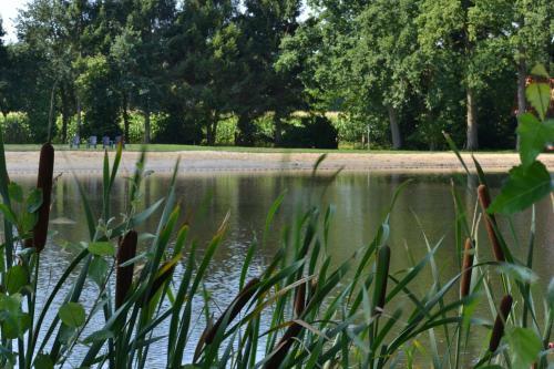 Hostal Ferienparadies M�hlenbach