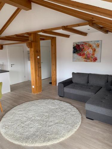 Apartamento Sanosueno 1