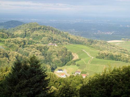 Apartamento Ferienwohnung Sasbachwalden 100s