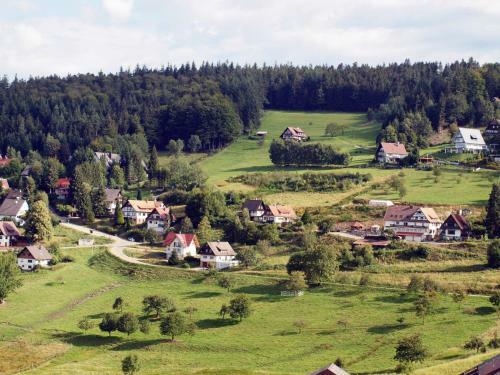 Apartamento Ferienwohnung Sasbachwalden 100s