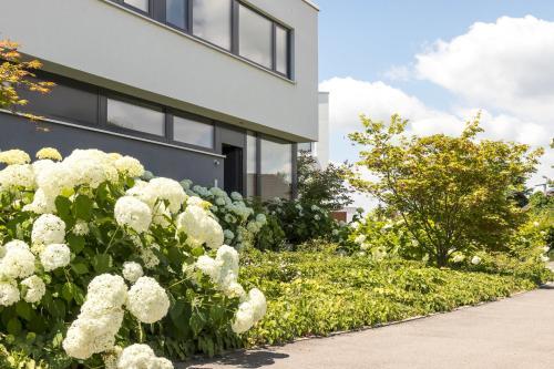 Apartamento Mettnau-apartment