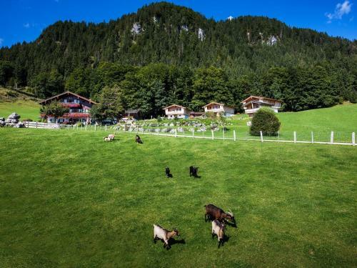 Hostal Alpenpension Ettlerlehen