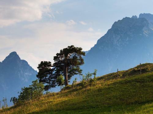 Hostal Alpenpension Ettlerlehen