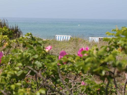 Apartamento Gr�ner Winkel 1