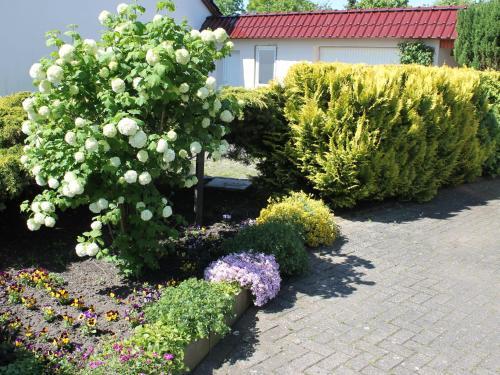 Apartamento Sonnenhof Nr 1