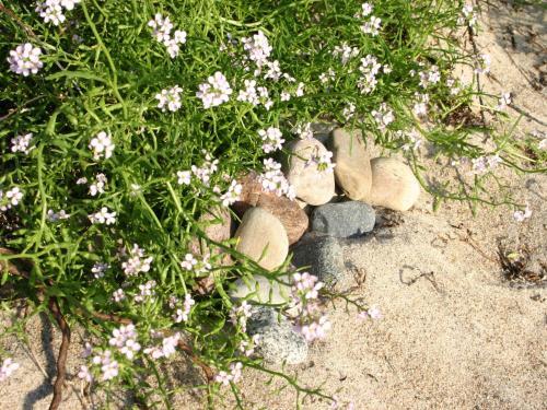 Das Strandh�uschen