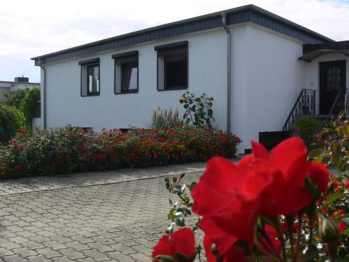Apartamento Zur Teufelsschlucht