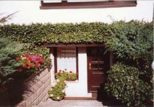 Apartamento Ferienwohnung Ribnitz Most 901
