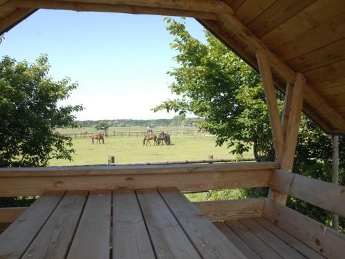 Apartamento Gro�e Ferienwohnung Auf Einem Reiterhof