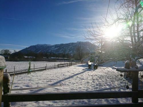 Apartamentos Ferienwohnungen Dopplerhof
