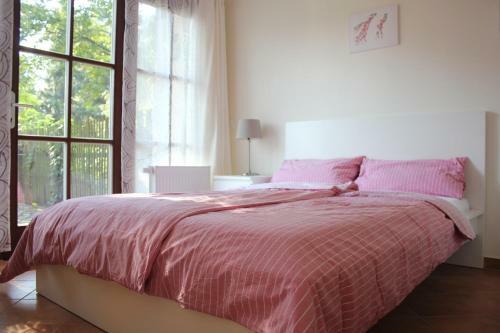 Hostal Hotel-pension "altjessen 57"