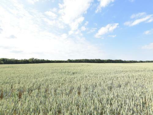 Apartamento Zum Breitling 2