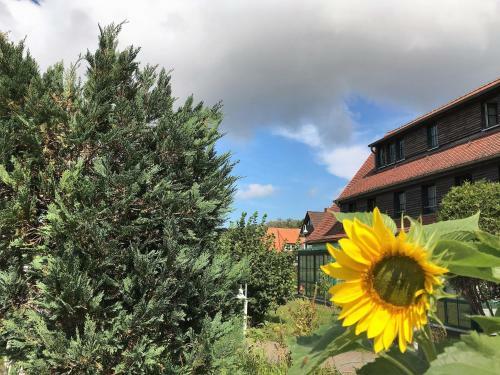 Hostal Hotel-pension Seeadler