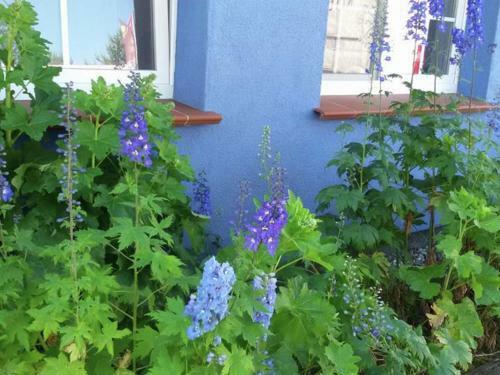 Apartamento Blau - Ines