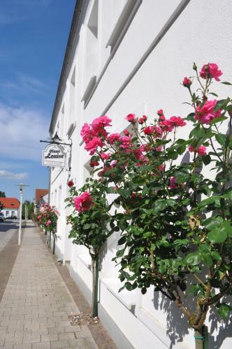 Apartamento Ferienhaus Louise