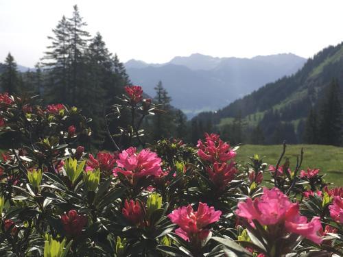 Apartamento Auszeit Ferienwohnungen