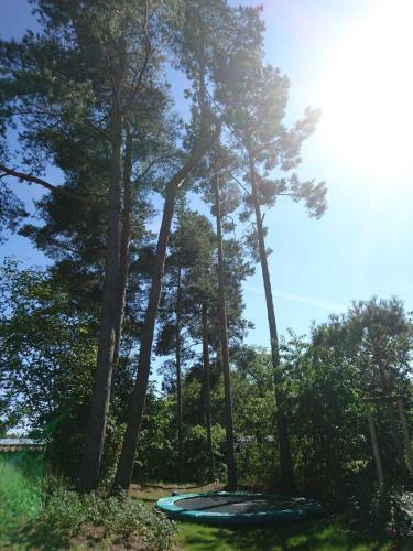 Apartamentos Kapitaensweg 32