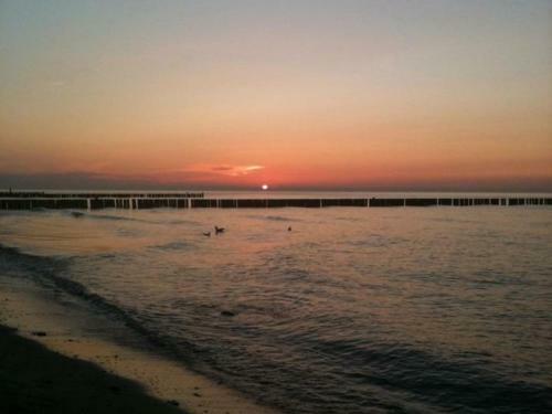 Apartamento Sch�ne Balkonwohnung Im Ostseebad 213