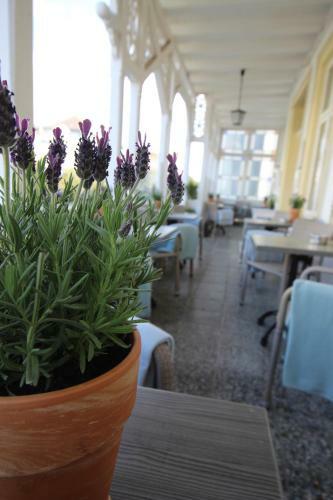 Hostal Villa Sand Im Schuh