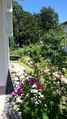 Apartamento Ferienwohnung Am Waldesrand