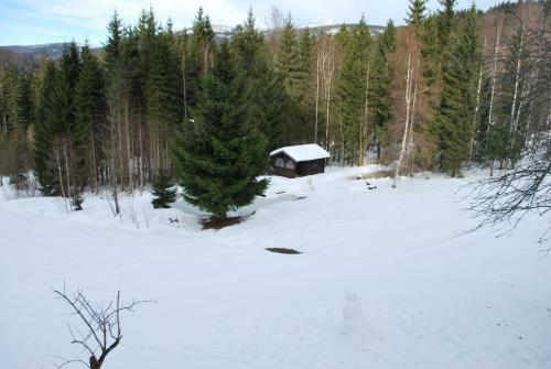 Ferienhaus "lisa�s H�usl"