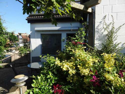 Apartamento Heidelberg_ Viola