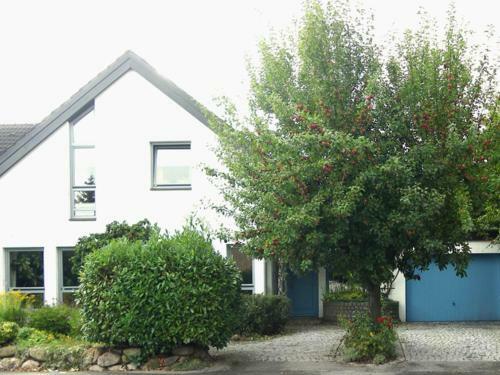 Apartamento Heidelberg_ Viola
