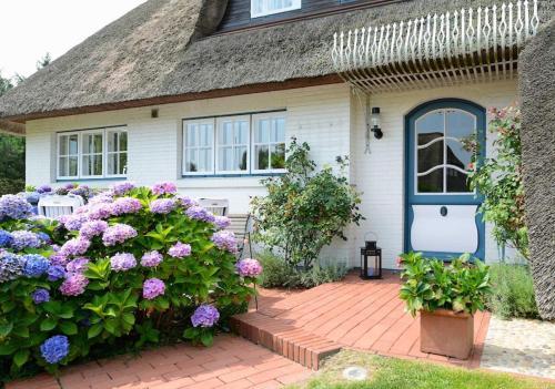 Apartamento Dieksweg 3 Pure Natur Auf Idyll