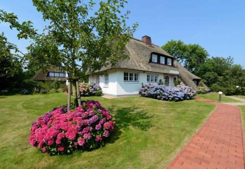 Apartamento Dieksweg 3 Pure Natur Auf Idyll
