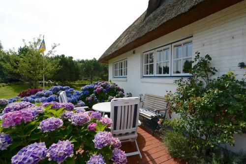 Apartamento Dieksweg 3 Pure Natur Auf Idyll