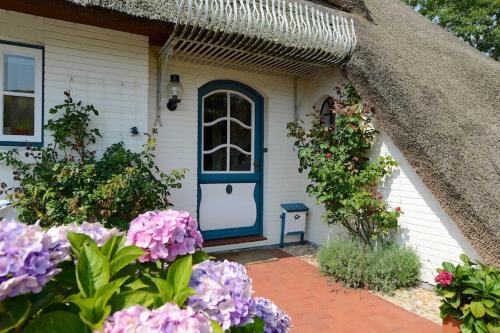 Apartamento Dieksweg 3 Pure Natur Auf Idyll
