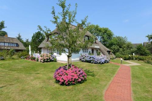 Apartamento Dieksweg 3 Pure Natur Auf Idyll